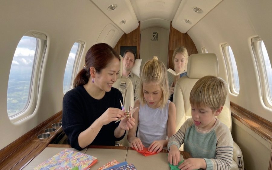 Travel Nanny