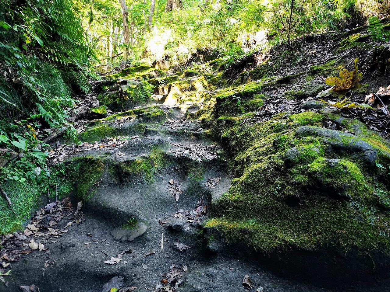 The moss-covered stone steps of the Kewaizaka Kiridoshi pass in Kamakura